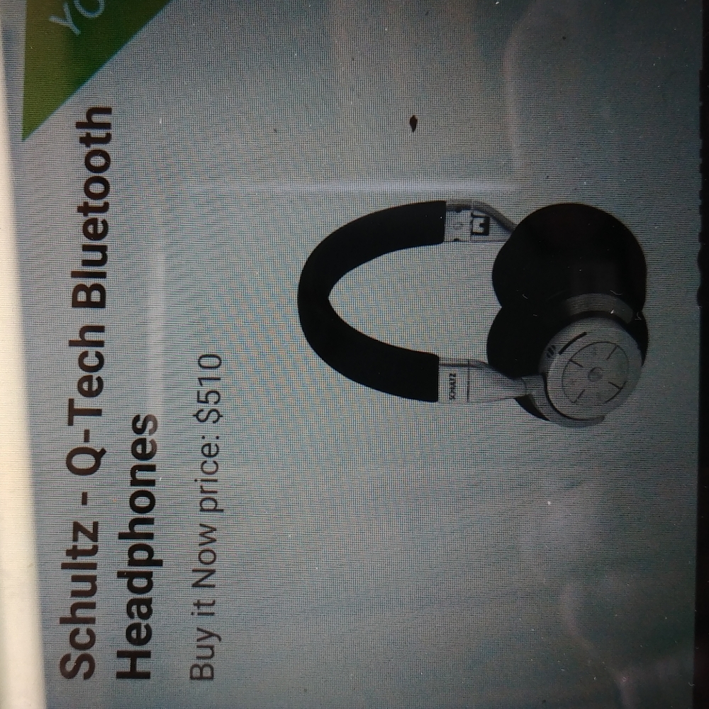 Schultz Q Tec Bluetooth headphones.
